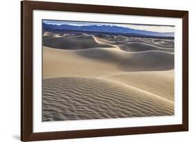 Mesquite Dunes, Death Valley National Park, California.-John Ford-Framed Photographic Print