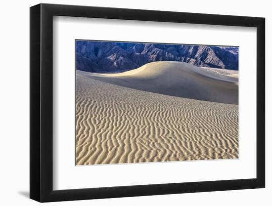 Mesquite Dunes, Death Valley National Park, California.-John Ford-Framed Photographic Print
