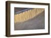 Mesquite Dunes, Death Valley National Park, California.-John Ford-Framed Photographic Print