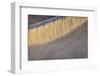 Mesquite Dunes, Death Valley National Park, California.-John Ford-Framed Photographic Print