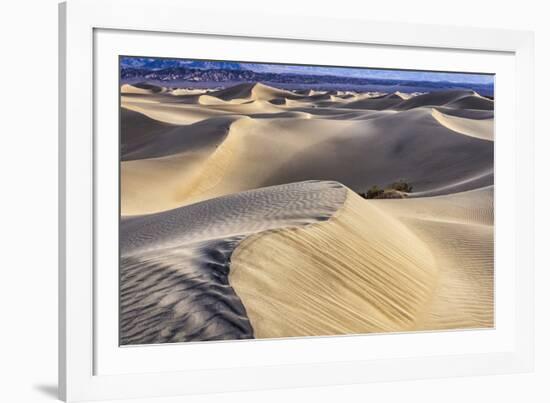 Mesquite Dunes, Death Valley National Park, California.-John Ford-Framed Photographic Print