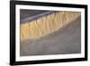 Mesquite Dunes, Death Valley National Park, California.-John Ford-Framed Photographic Print