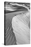 Mesquite Dunes, Death Valley National Park, California.-John Ford-Stretched Canvas