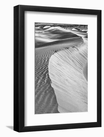 Mesquite Dunes, Death Valley National Park, California.-John Ford-Framed Photographic Print