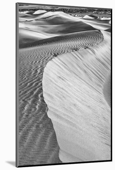 Mesquite Dunes, Death Valley National Park, California.-John Ford-Mounted Photographic Print