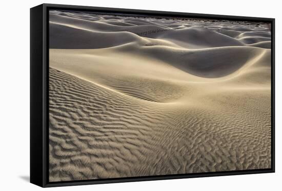 Mesquite Dunes, Death Valley National Park, California.-John Ford-Framed Stretched Canvas