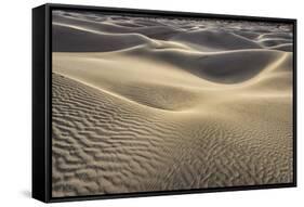 Mesquite Dunes, Death Valley National Park, California.-John Ford-Framed Stretched Canvas