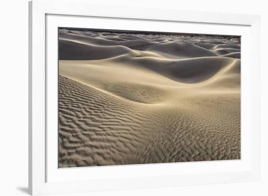 Mesquite Dunes, Death Valley National Park, California.-John Ford-Framed Photographic Print