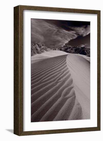 Mesquite Dunes Death Valley-Steve Gadomski-Framed Photographic Print