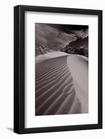 Mesquite Dunes Death Valley-Steve Gadomski-Framed Photographic Print