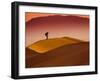 Mesquite Flat Dunes at Death Vakkey National Park-Gleb Tarro-Framed Photographic Print