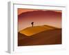 Mesquite Flat Dunes at Death Vakkey National Park-Gleb Tarro-Framed Photographic Print