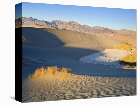 Mesquite Flat Sand Dunes, Death Valley National Park, California, USA, North America-Richard Cummins-Stretched Canvas