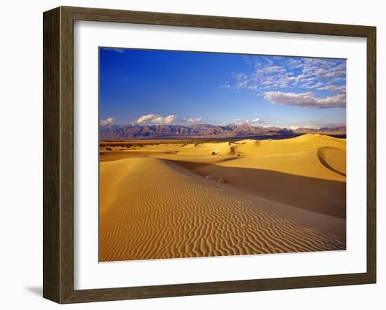 Mesquite Flat Sand Dunes, Death Valley National Park, California, USA-Chuck Haney-Framed Premium Photographic Print