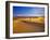 Mesquite Flat Sand Dunes, Death Valley National Park, California, USA-Chuck Haney-Framed Premium Photographic Print