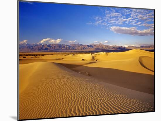 Mesquite Flat Sand Dunes, Death Valley National Park, California, USA-Chuck Haney-Mounted Premium Photographic Print