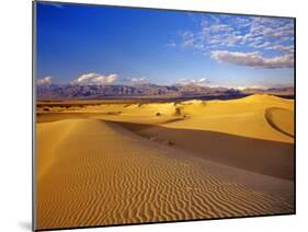 Mesquite Flat Sand Dunes, Death Valley National Park, California, USA-Chuck Haney-Mounted Premium Photographic Print