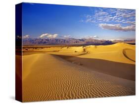 Mesquite Flat Sand Dunes, Death Valley National Park, California, USA-Chuck Haney-Stretched Canvas