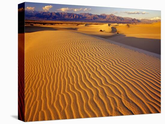 Mesquite Flat Sand Dunes in Death Valley National Park in California, USA-Chuck Haney-Stretched Canvas