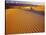 Mesquite Flat Sand Dunes in Death Valley National Park in California, USA-Chuck Haney-Stretched Canvas