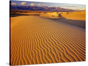 Mesquite Flat Sand Dunes in Death Valley National Park in California, USA-Chuck Haney-Stretched Canvas