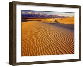 Mesquite Flat Sand Dunes in Death Valley National Park in California, USA-Chuck Haney-Framed Photographic Print