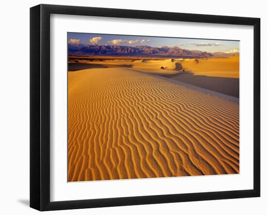 Mesquite Flat Sand Dunes in Death Valley National Park in California, USA-Chuck Haney-Framed Photographic Print