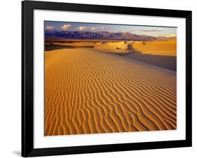 Mesquite Flat Sand Dunes in Death Valley National Park in California, USA-Chuck Haney-Framed Photographic Print