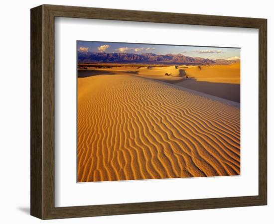 Mesquite Flat Sand Dunes in Death Valley National Park in California, USA-Chuck Haney-Framed Photographic Print