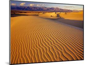 Mesquite Flat Sand Dunes in Death Valley National Park in California, USA-Chuck Haney-Mounted Photographic Print