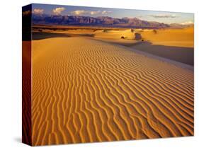 Mesquite Flat Sand Dunes in Death Valley National Park in California, USA-Chuck Haney-Stretched Canvas