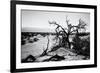 Mesquite Flat Sans Dunes - Stovepipe wells village - Death Valley National Park - California - USA -Philippe Hugonnard-Framed Photographic Print