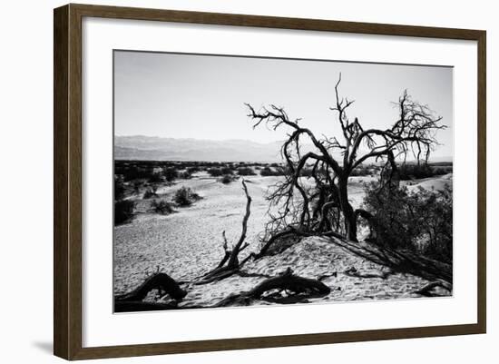 Mesquite Flat Sans Dunes - Stovepipe wells village - Death Valley National Park - California - USA -Philippe Hugonnard-Framed Photographic Print