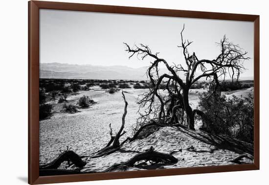 Mesquite Flat Sans Dunes - Stovepipe wells village - Death Valley National Park - California - USA -Philippe Hugonnard-Framed Photographic Print