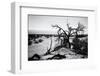 Mesquite Flat Sans Dunes - Stovepipe wells village - Death Valley National Park - California - USA -Philippe Hugonnard-Framed Photographic Print