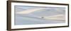 Mesquite Flats Dunes, Death Valley National Park, California, USA-Panoramic Images-Framed Photographic Print