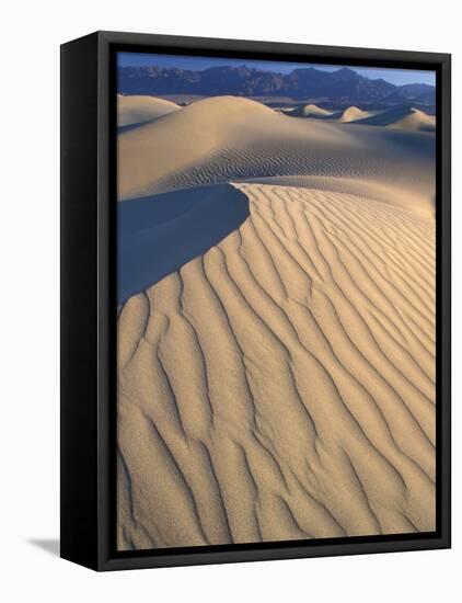 Mesquite Flats Sand Dunes with Wind Ripples at Sunrise, Death Valley National Park, California, USA-Jamie & Judy Wild-Framed Stretched Canvas