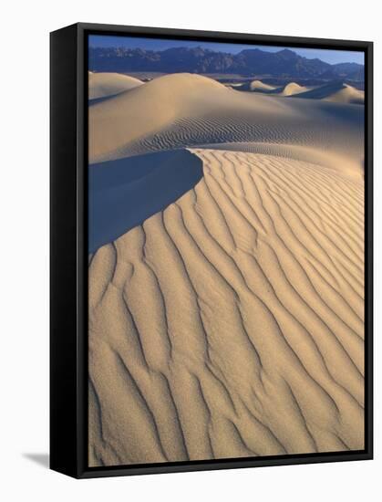 Mesquite Flats Sand Dunes with Wind Ripples at Sunrise, Death Valley National Park, California, USA-Jamie & Judy Wild-Framed Stretched Canvas