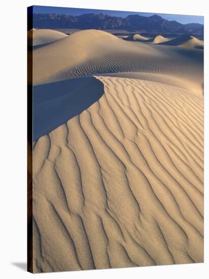 Mesquite Flats Sand Dunes with Wind Ripples at Sunrise, Death Valley National Park, California, USA-Jamie & Judy Wild-Stretched Canvas