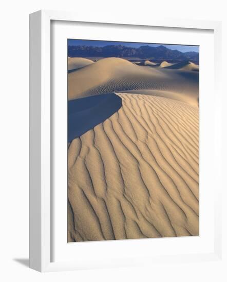 Mesquite Flats Sand Dunes with Wind Ripples at Sunrise, Death Valley National Park, California, USA-Jamie & Judy Wild-Framed Photographic Print