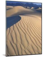 Mesquite Flats Sand Dunes with Wind Ripples at Sunrise, Death Valley National Park, California, USA-Jamie & Judy Wild-Mounted Photographic Print