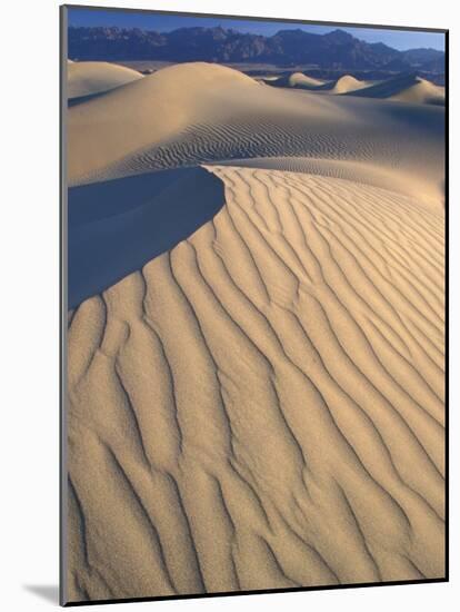 Mesquite Flats Sand Dunes with Wind Ripples at Sunrise, Death Valley National Park, California, USA-Jamie & Judy Wild-Mounted Photographic Print