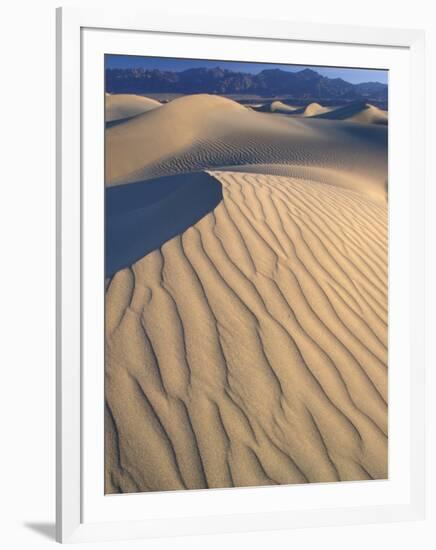 Mesquite Flats Sand Dunes with Wind Ripples at Sunrise, Death Valley National Park, California, USA-Jamie & Judy Wild-Framed Photographic Print