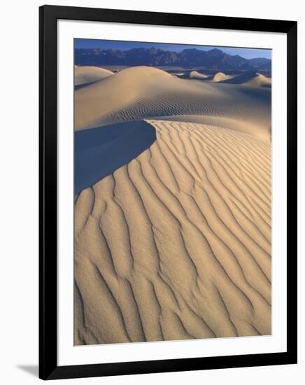 Mesquite Flats Sand Dunes with Wind Ripples at Sunrise, Death Valley National Park, California, USA-Jamie & Judy Wild-Framed Photographic Print