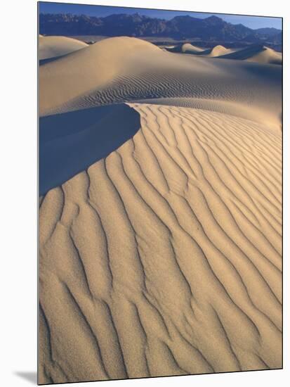 Mesquite Flats Sand Dunes with Wind Ripples at Sunrise, Death Valley National Park, California, USA-Jamie & Judy Wild-Mounted Photographic Print