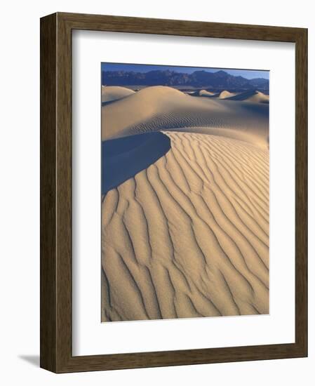 Mesquite Flats Sand Dunes with Wind Ripples at Sunrise, Death Valley National Park, California, USA-Jamie & Judy Wild-Framed Photographic Print