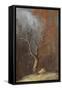 Mesquite Guardian-Trevor V. Swanson-Framed Stretched Canvas