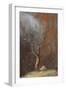 Mesquite Guardian-Trevor V. Swanson-Framed Giclee Print