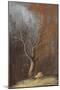 Mesquite Guardian-Trevor V. Swanson-Mounted Giclee Print