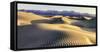 Mesquite Sand Dunes. Death Valley. California.-Tom Norring-Framed Stretched Canvas